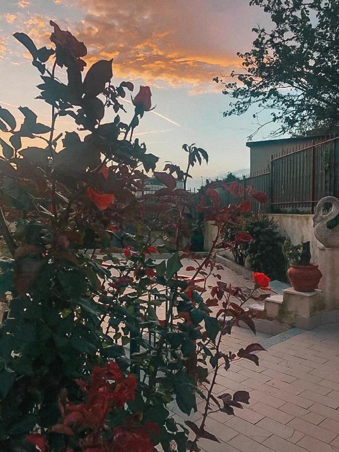 Bed & Breakfast Lipi Daire Pozzuoli Dış mekan fotoğraf